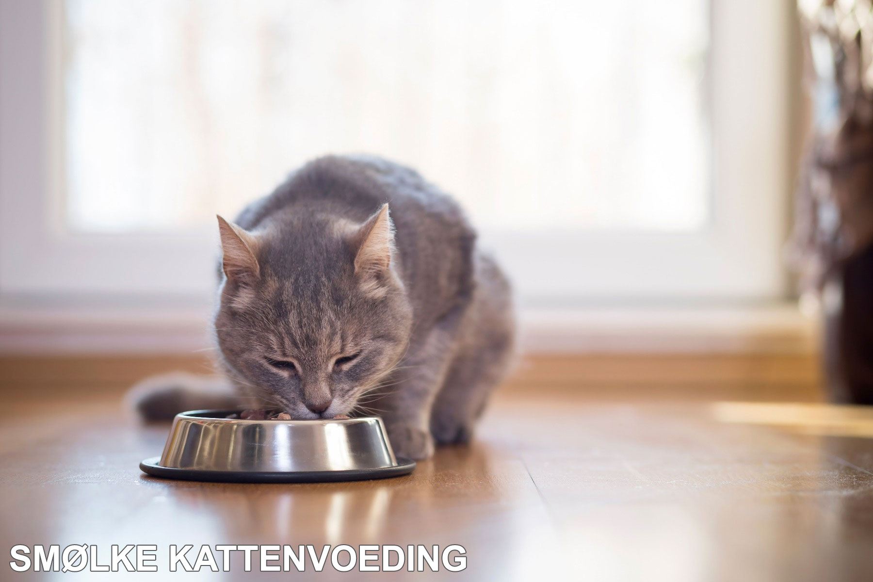 Smolke kattenvoer