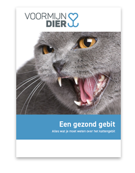 Een gezond gebit
