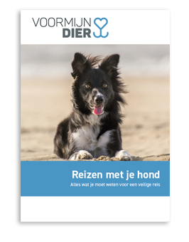 reizen hond